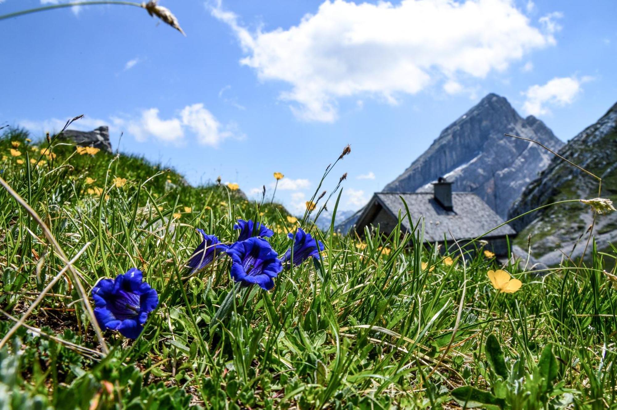 Ferienwohnung Fagstein Schönau am Königssee Екстериор снимка